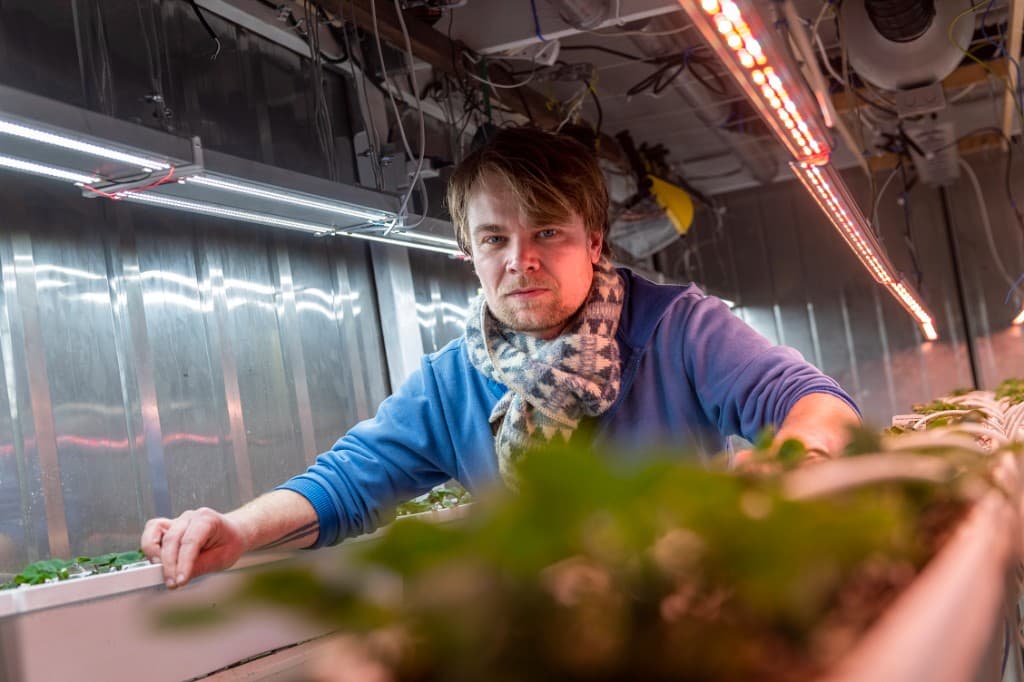 Mit Koevoets tending seedlings in a propagation house under LED grow lights